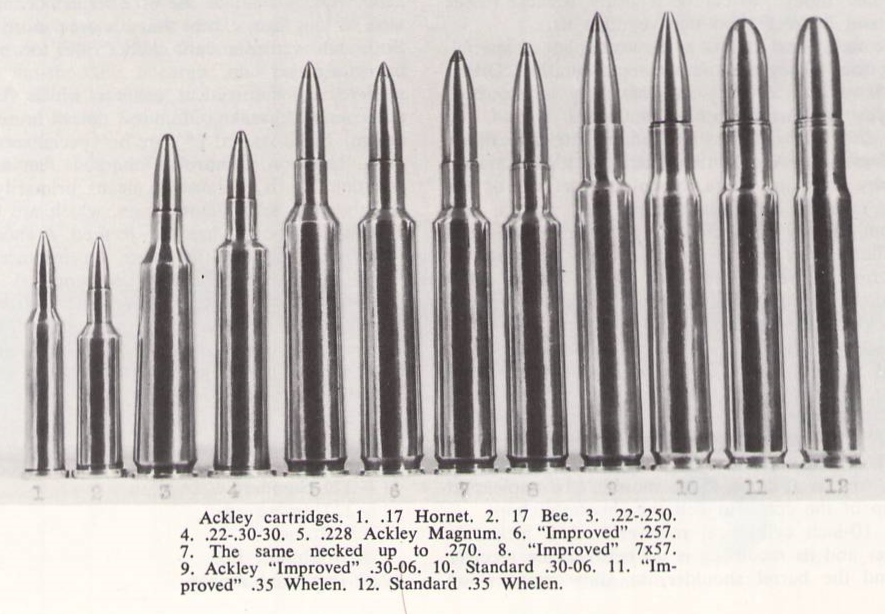 comparison photo of ackley cartridges